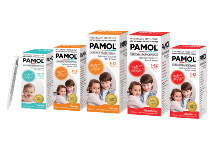 pamol seo case study