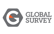 Global Survey New Zealand