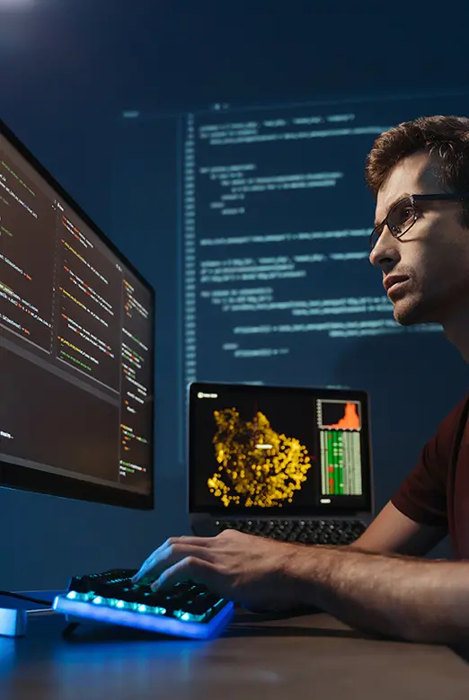 Expert optimising website for search