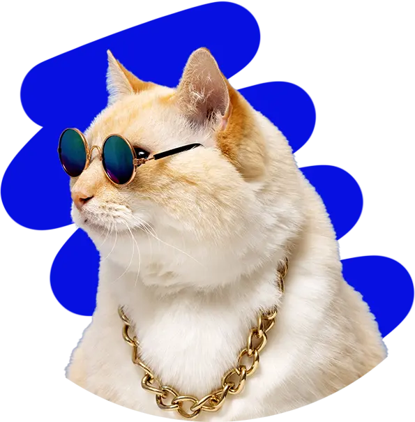 Cat is impressed with the paid ads service